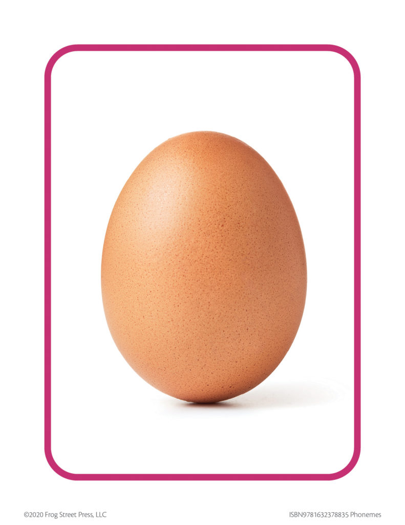 egg