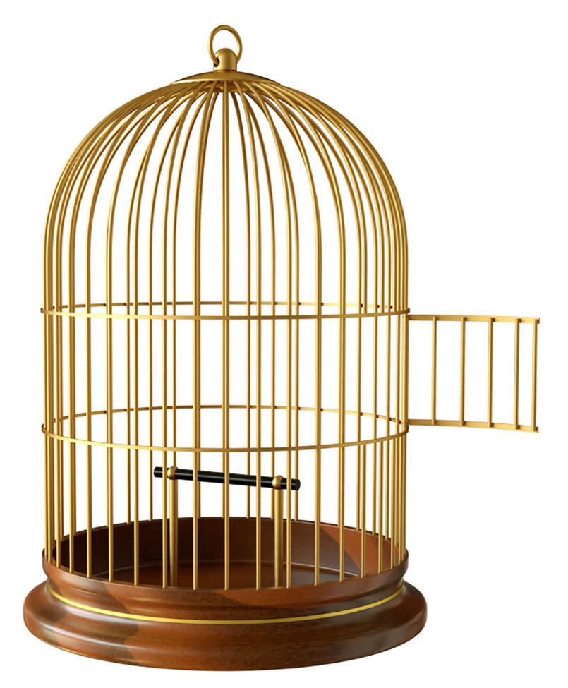 birdcage