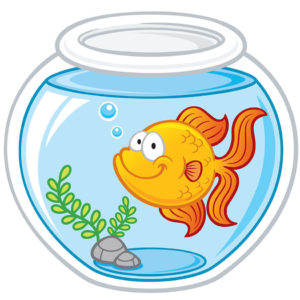 pet fish