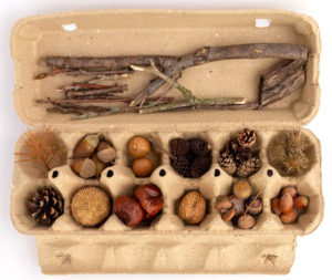 egg carton with items