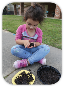 Making Mud Pies