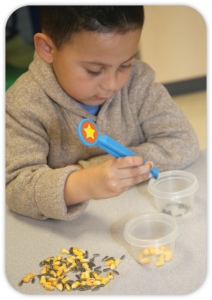 boy sorting with tweezers