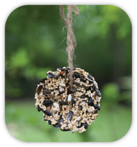 bird seed donut