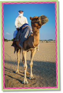 man riding a camel