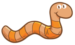 worm