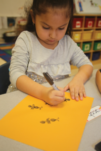 Girl drawing ants