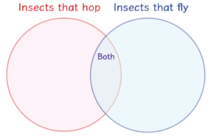 Venn Diagram