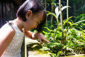 Girl watching butterfly at the zoo