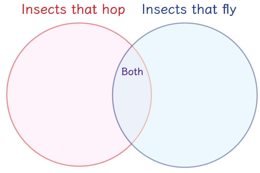 Venn Diagram