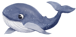 whale