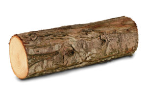 log