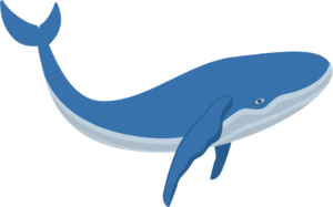 blue whale