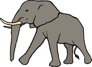 elephant