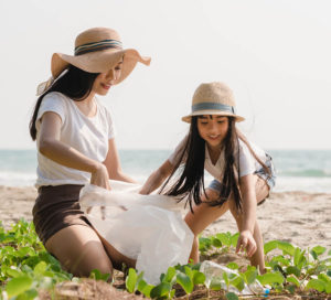 clean up at the shoreline