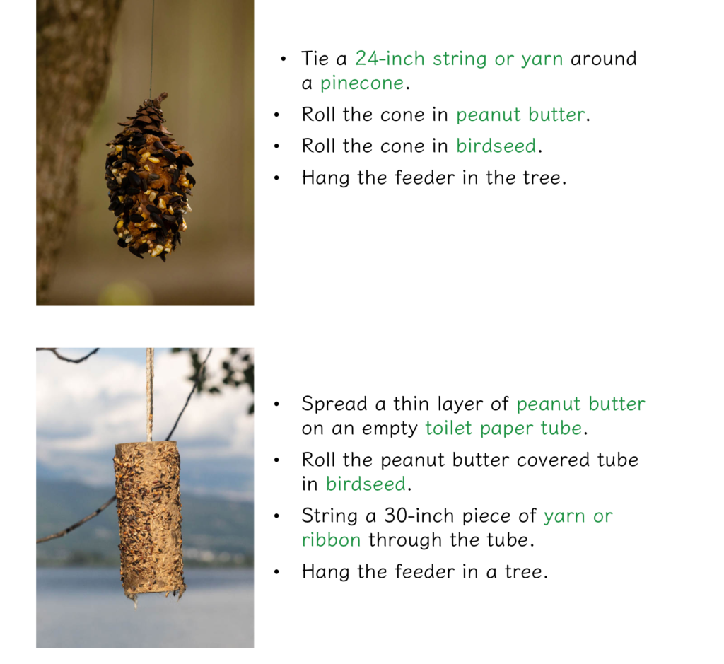 how to make a bird feeder