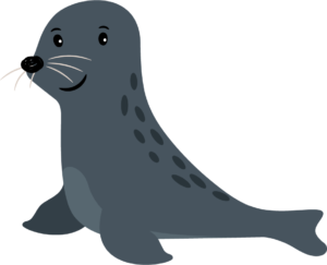 cartoon seal