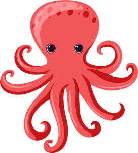 octopus